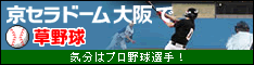 憧れのフィールドで、気分はプロ野球選手！
京セラドーム大阪で草野球を！！